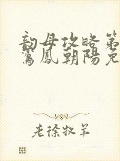 韵母攻略第二部鸾凤朝阳免费阅读封面