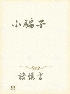 小骗子封面