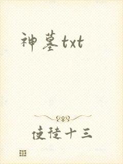 神墓txt