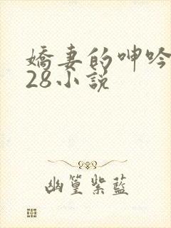 娇妻的呻吟1—28小说