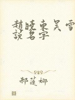 赵晓东吴雪晴小说名字