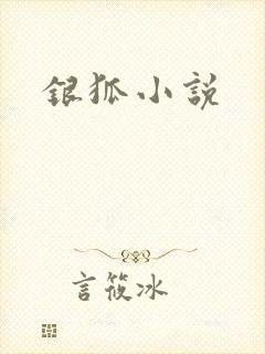 银狐小说