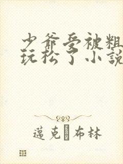 少爷受被粗汉H玩松了小说