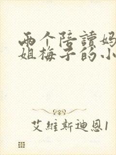 两个陪读妈妈赵姐梅子的小说