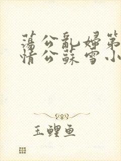 荡公乱妇第1章情公苏雪小说