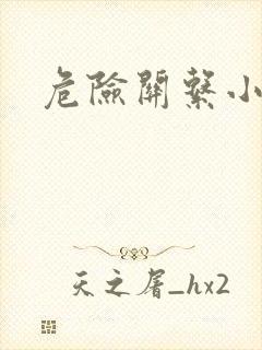 危险关系小说