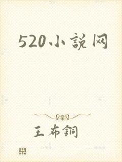 520小说网封面