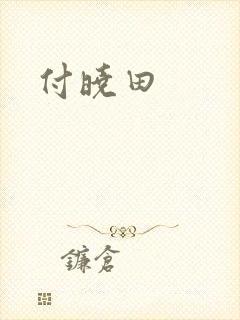 付晓田