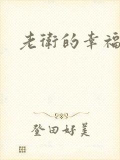 老卫的幸福生活封面