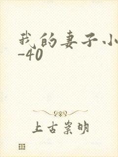 我的妻子小谨1-40