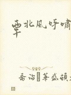 西北风呼啸的中午封面