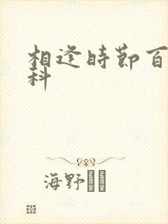 相逢时节百度百科封面