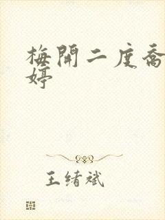 梅开二度乔枫李婷封面