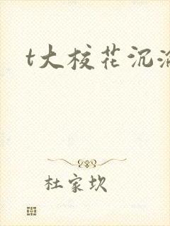 t大校花沉沦封面