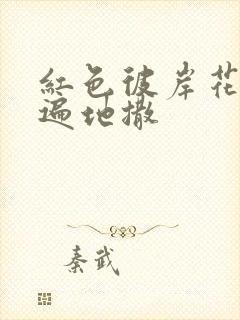 红色彼岸花花瓣遍地撒封面