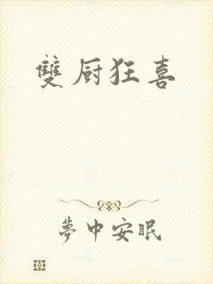 双厨狂喜封面