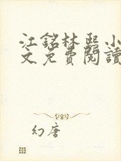 江铭林熙小说全文免费阅读封面