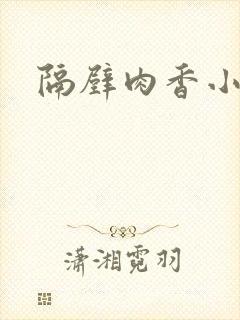 隔壁肉香小说