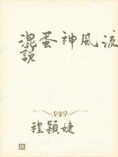 混蛋神风流史小说封面