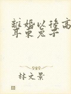 离婚以后高干 耳东兔子封面
