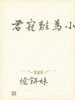 君宠难为小说封面