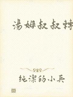 汤姆叔叔转接口封面