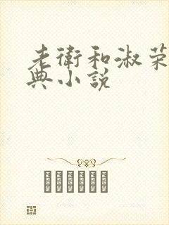 老卫和淑荣的经典小说