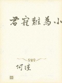 君宠难为小说封面