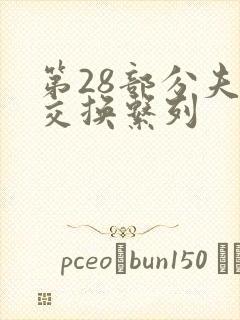 第28部分夫妇交换系列封面