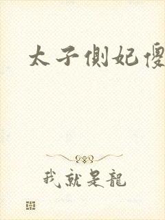 太子侧妃傻乎乎