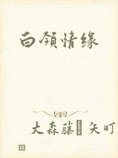 白领情缘