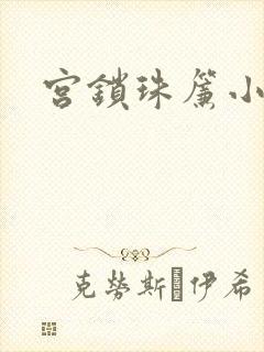 宫锁珠帘小说