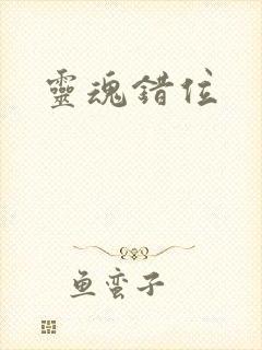 灵魂错位封面