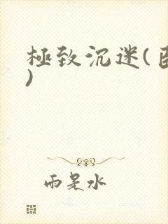 极致沉迷(臣年)封面