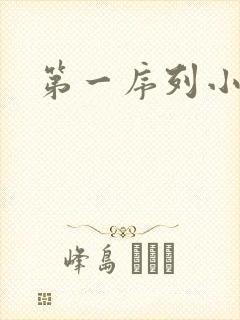 第一序列小说