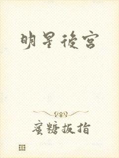 明星后宫