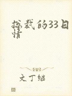 总裁的33日索情封面