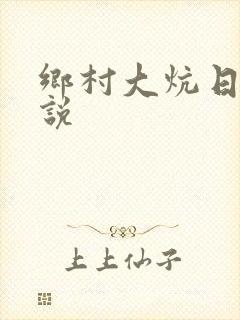 乡村大炕日b小说封面