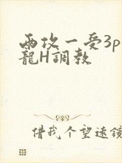 两攻一受3p双龙H调教