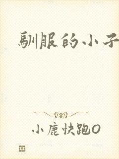 驯服的小子4