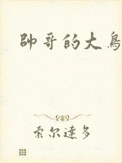 帅哥的大鸟