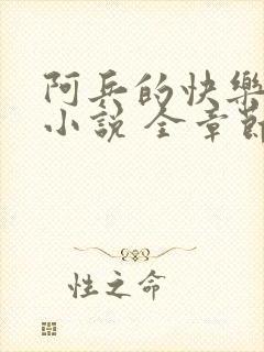 阿兵的快乐生活小说 全章节阅读免费
