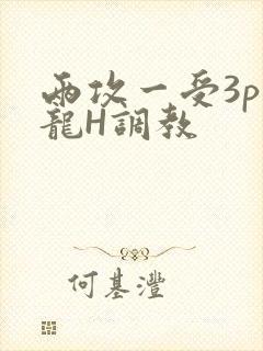 两攻一受3p双龙H调教