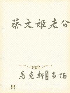 蔡文姬老公