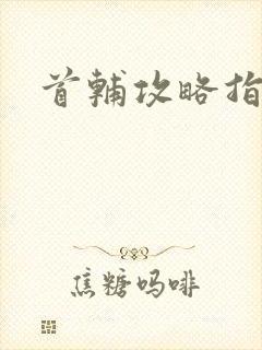 首辅攻略指南