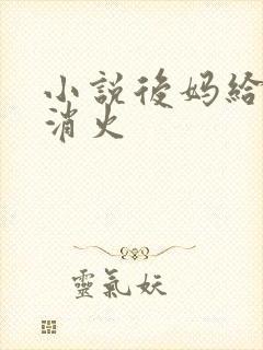 小说后妈给我消消火