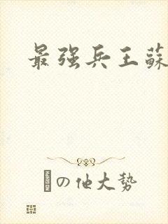 最强兵王苏锐