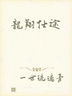 龙翔仕途