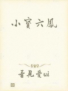 小宝六凤