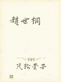 赵世桐封面